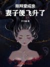 刚拜堂成亲,妻子便飞升了!