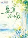 盛夏醉吻