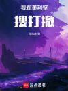 我在美利坚搜打撤