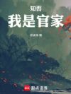 知否:我是官家